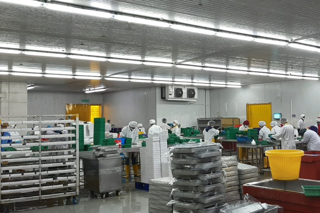 A&O Production Plant