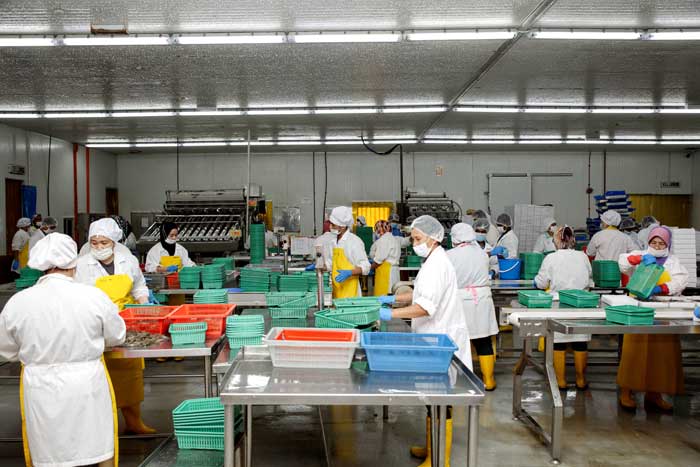 A&O Production Plant